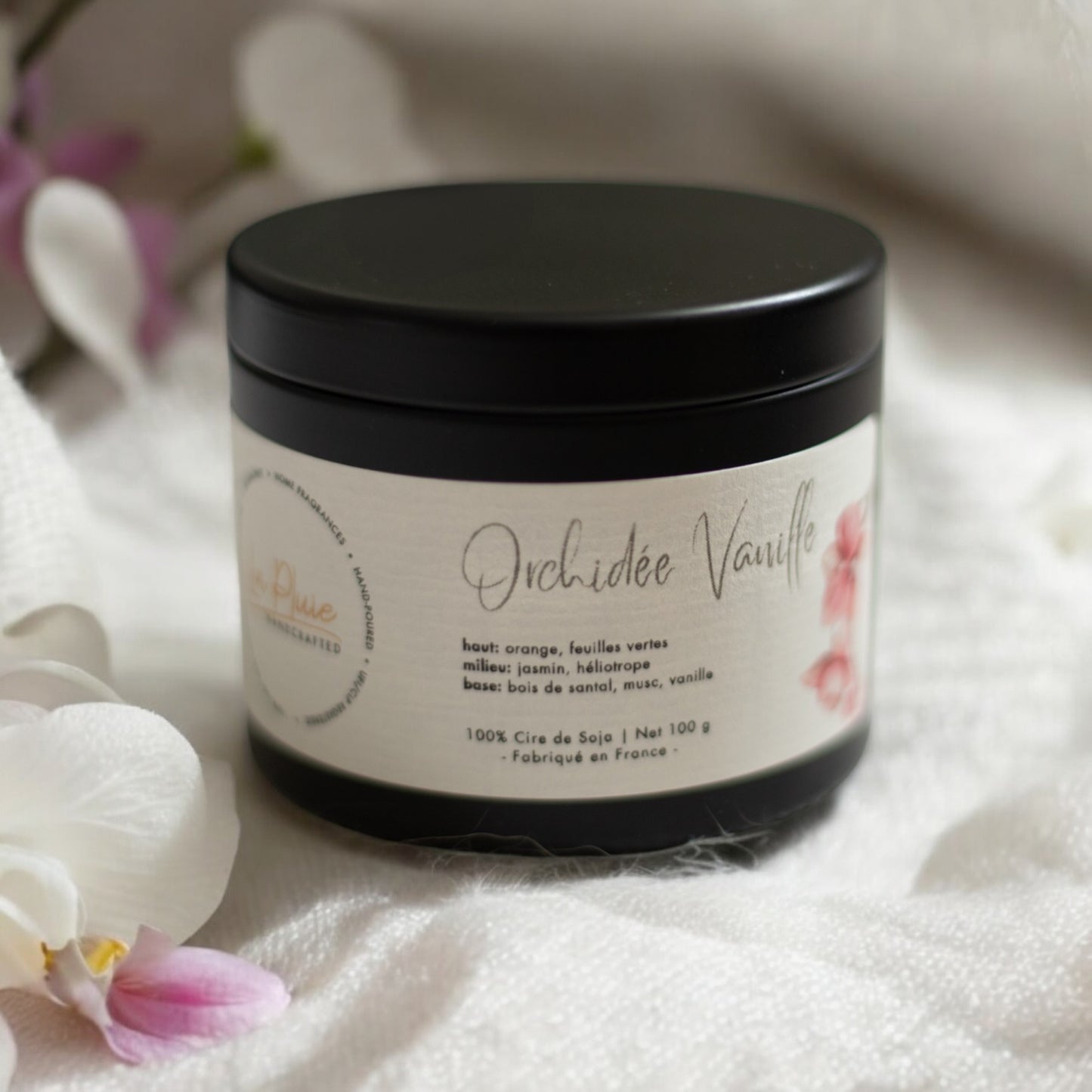 Vanilla Orchid