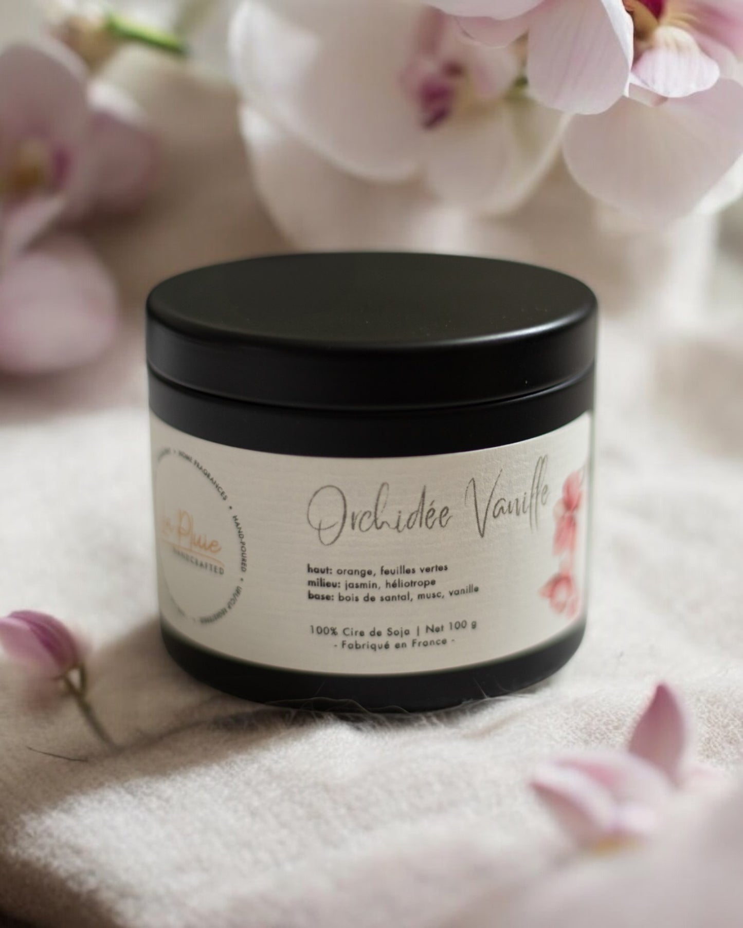 Vanilla Orchid