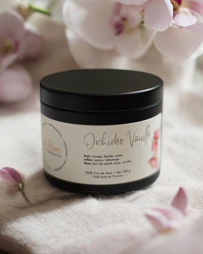 Vanilla Orchid